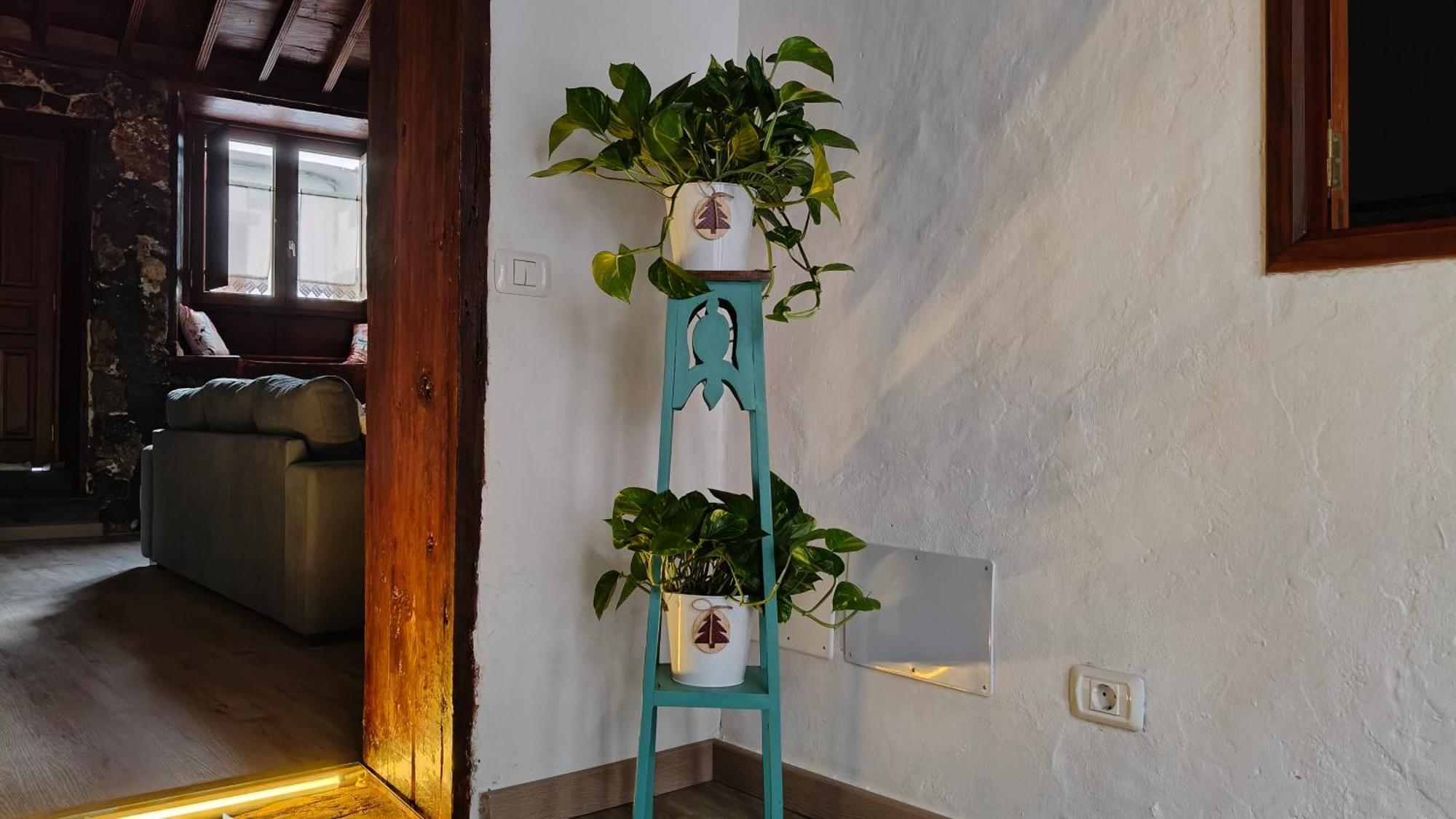 Casa Cecilia Villa ลอส ซิลอส ภายนอก รูปภาพ